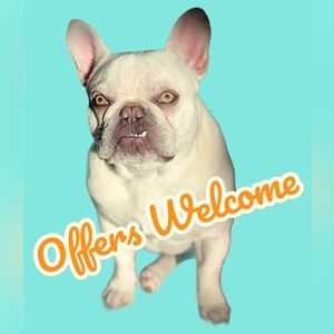 Offers offers offers make me an offer!